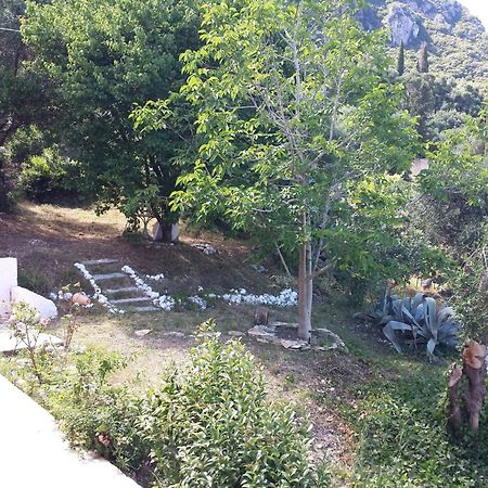 Atisis Apartments Μπενίτσες Εξωτερικό φωτογραφία