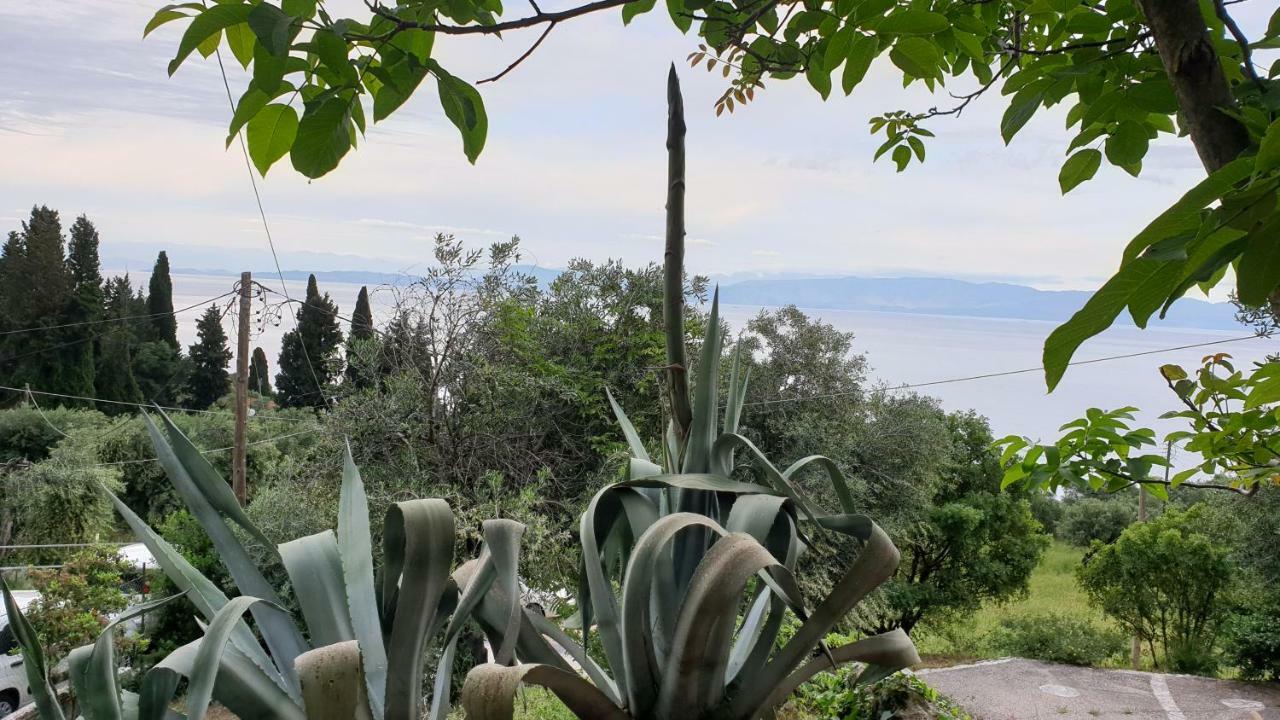 Atisis Apartments Μπενίτσες Εξωτερικό φωτογραφία