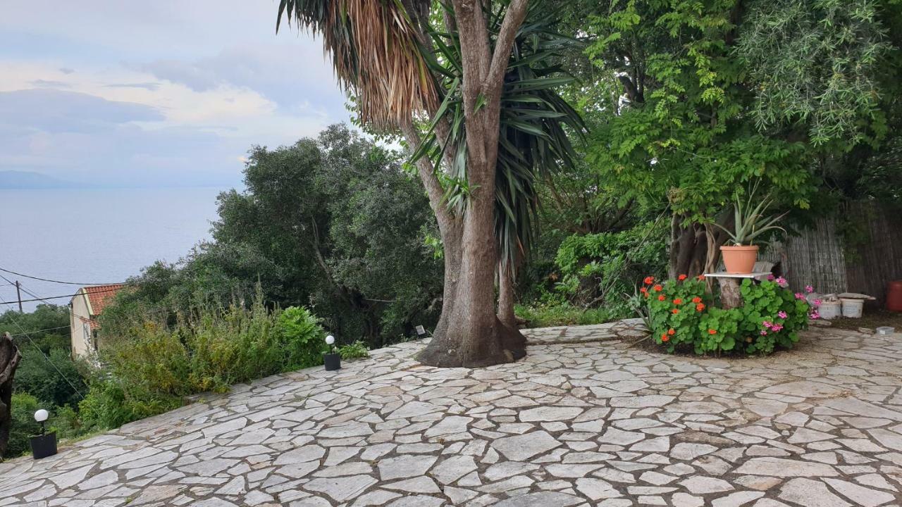 Atisis Apartments Μπενίτσες Εξωτερικό φωτογραφία